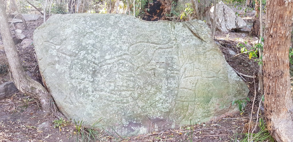 Great North Walk Bush Walking & Hiking